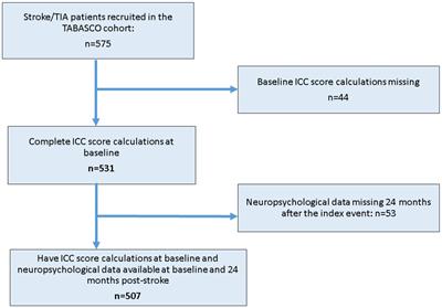 Association between intracranial vessel calcifications, structural brain damage, and cognitive impairment after minor strokes: a prospective study